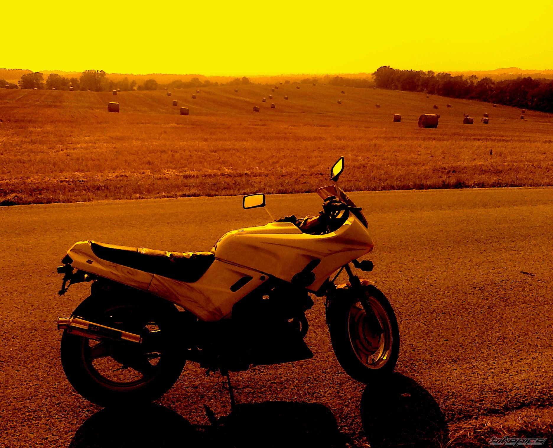 Photo 2014522