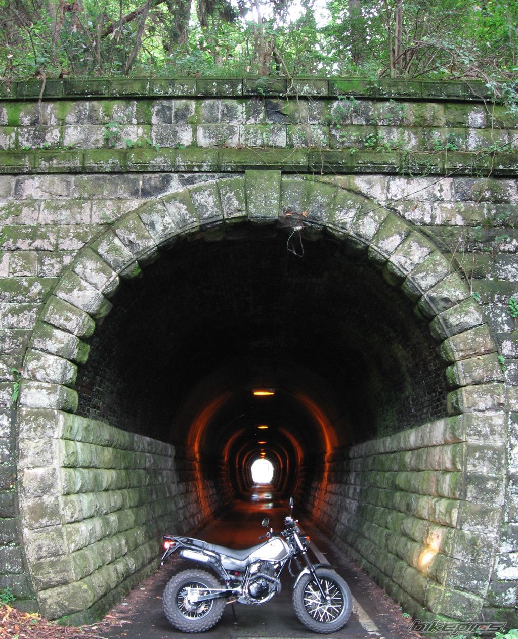 Photo 2014794