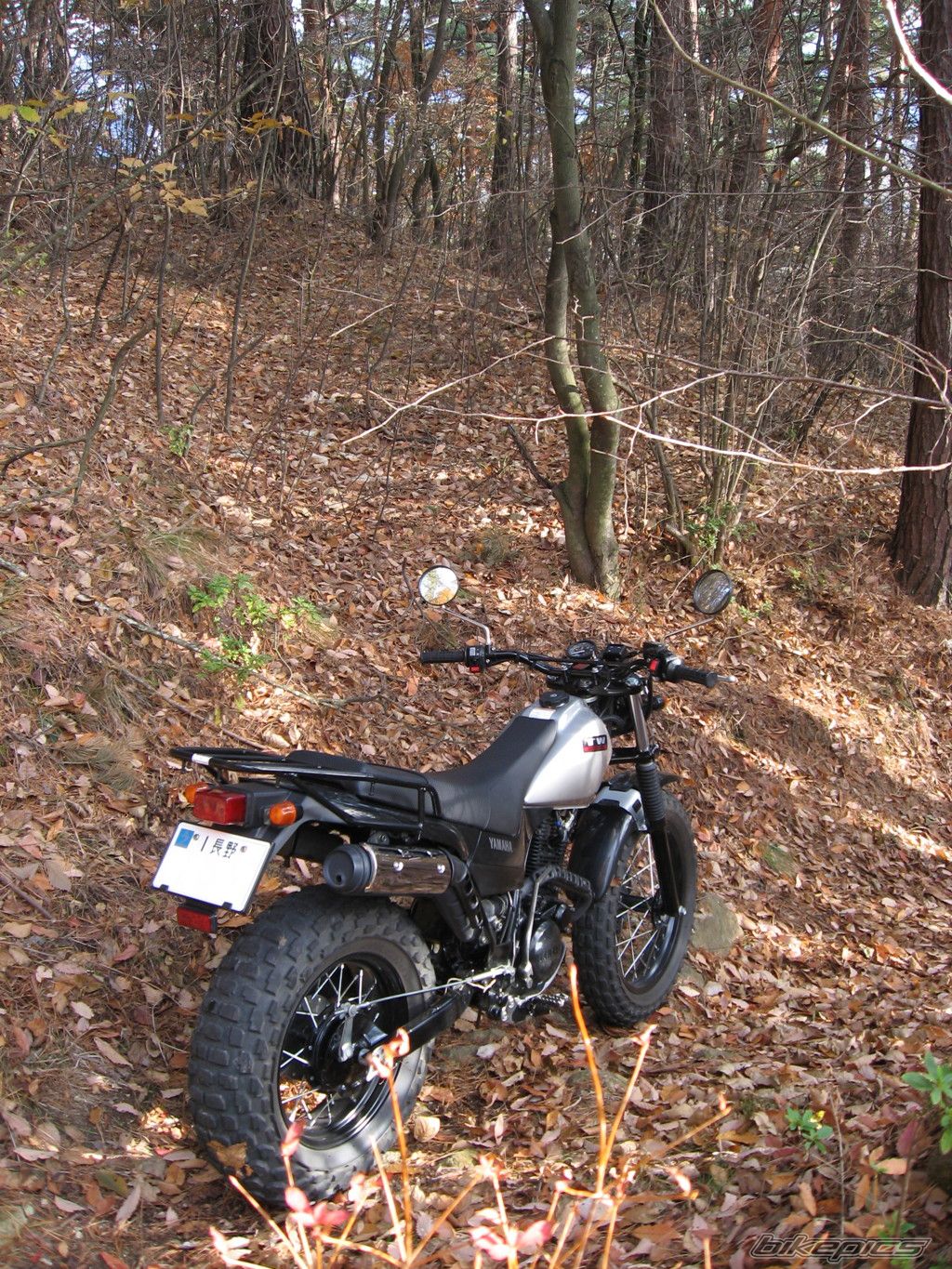 Photo 2014880