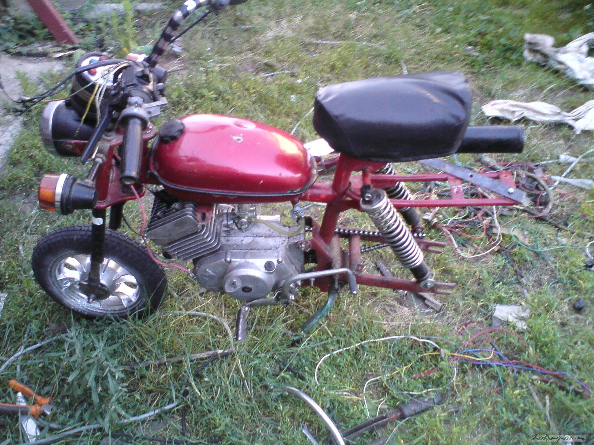 Photo 2015182