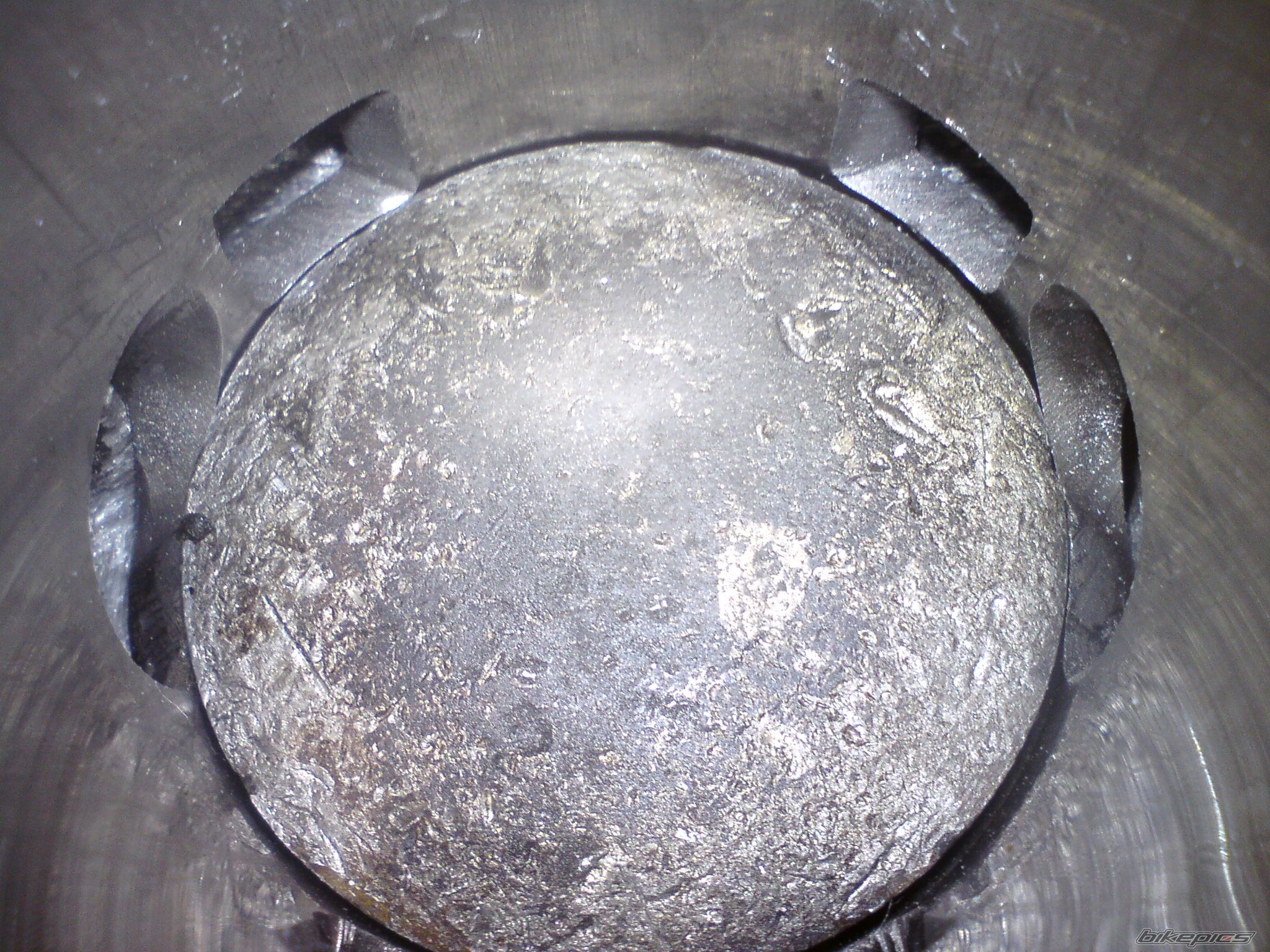 Photo 2015202