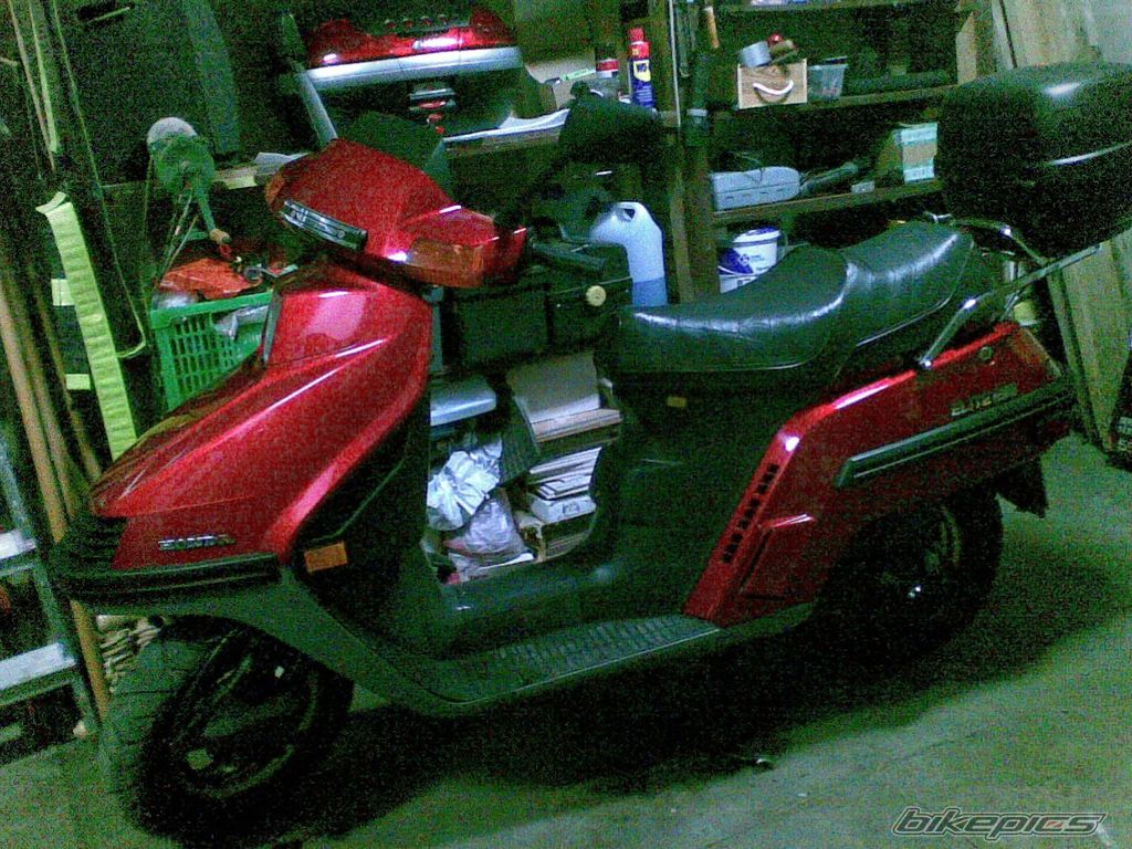 Photo 2015237