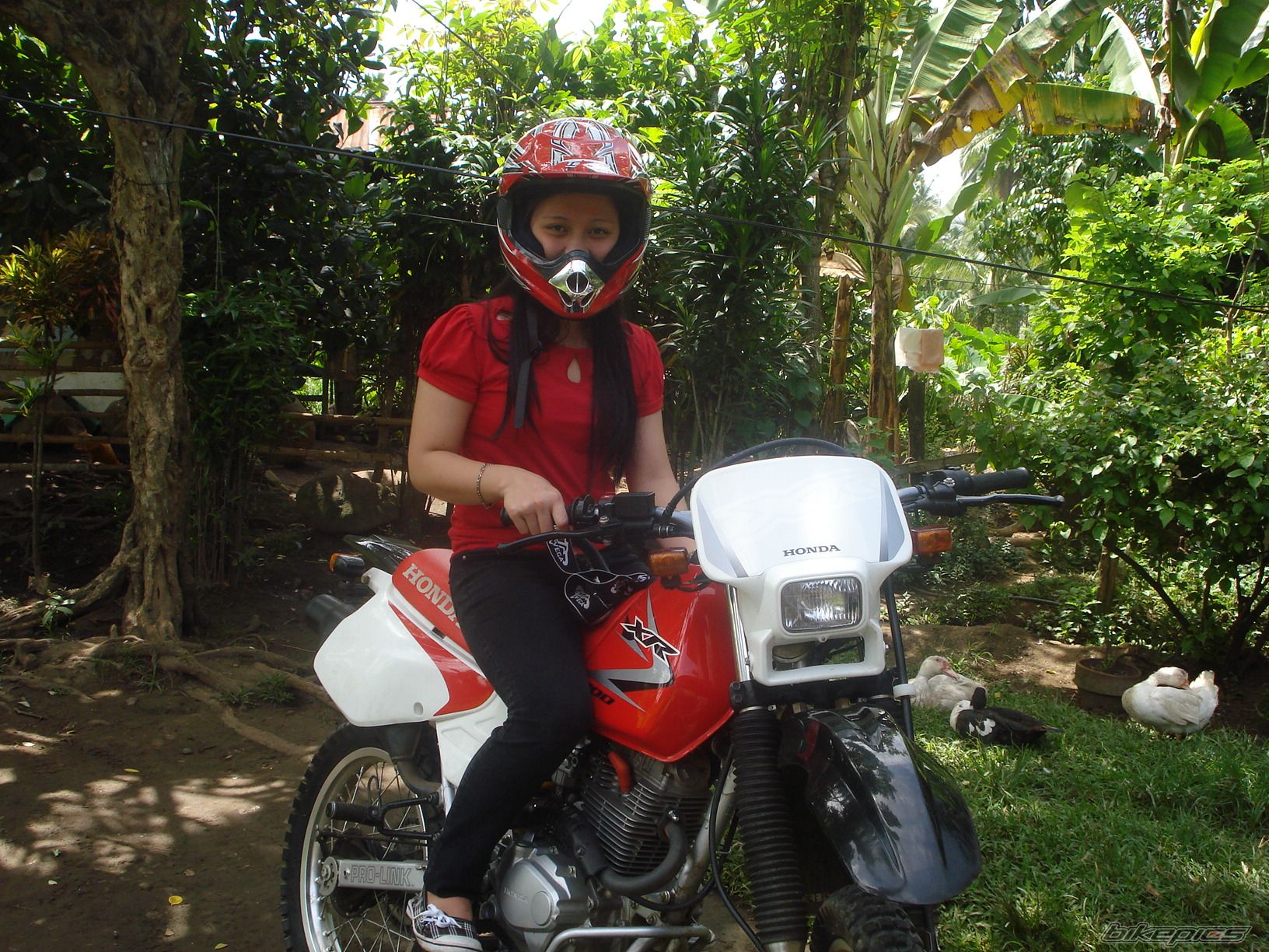 Photo 2015343
