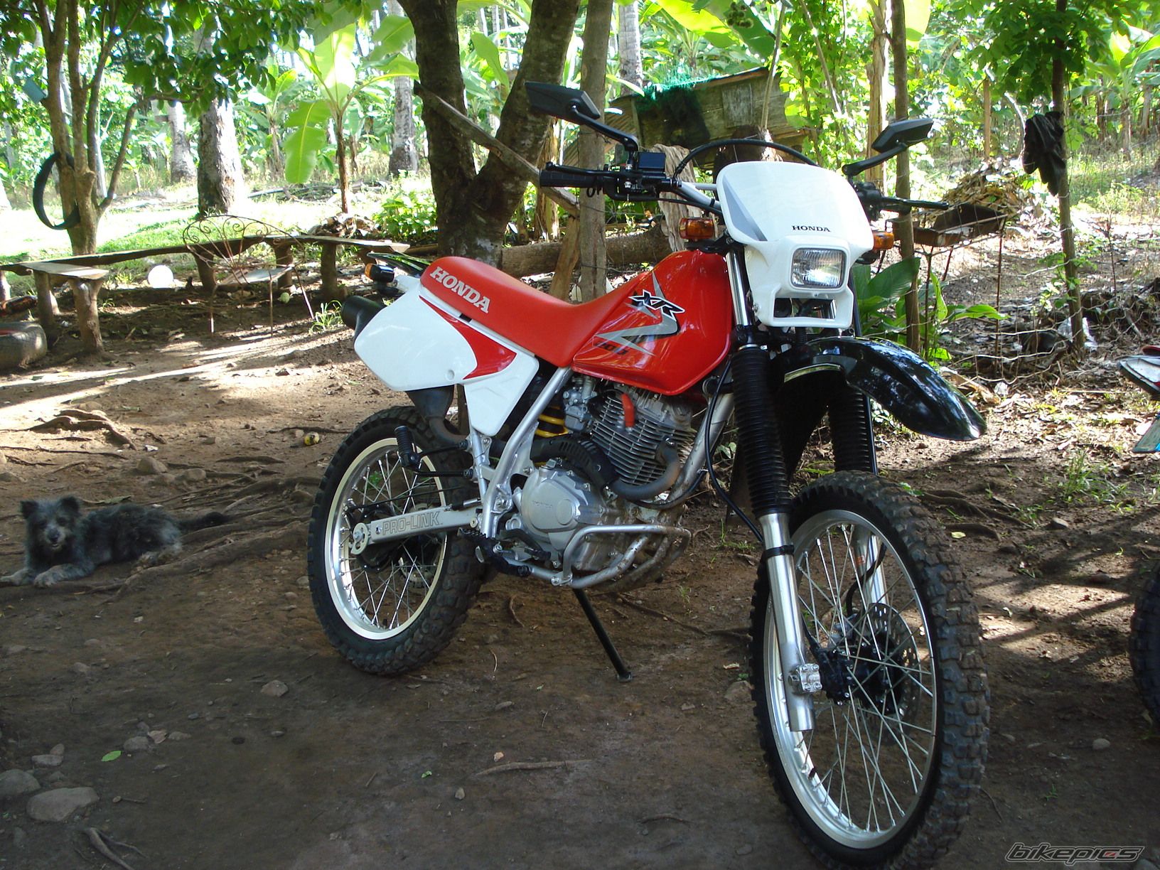 Photo 2015344