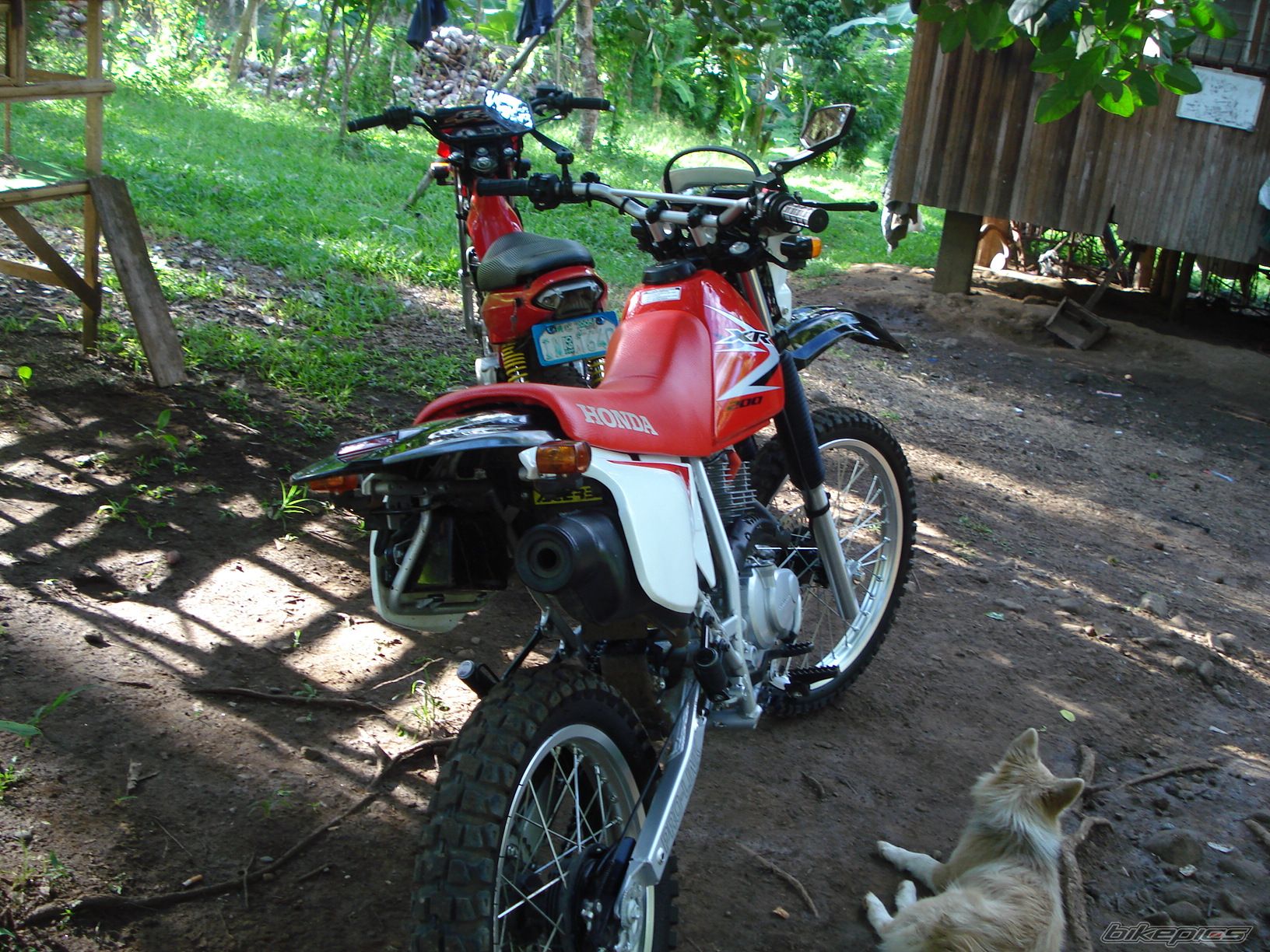 Photo 2015345