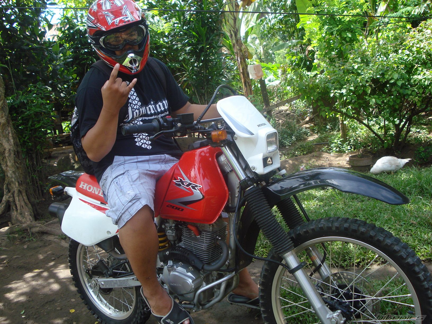 Photo 2015347