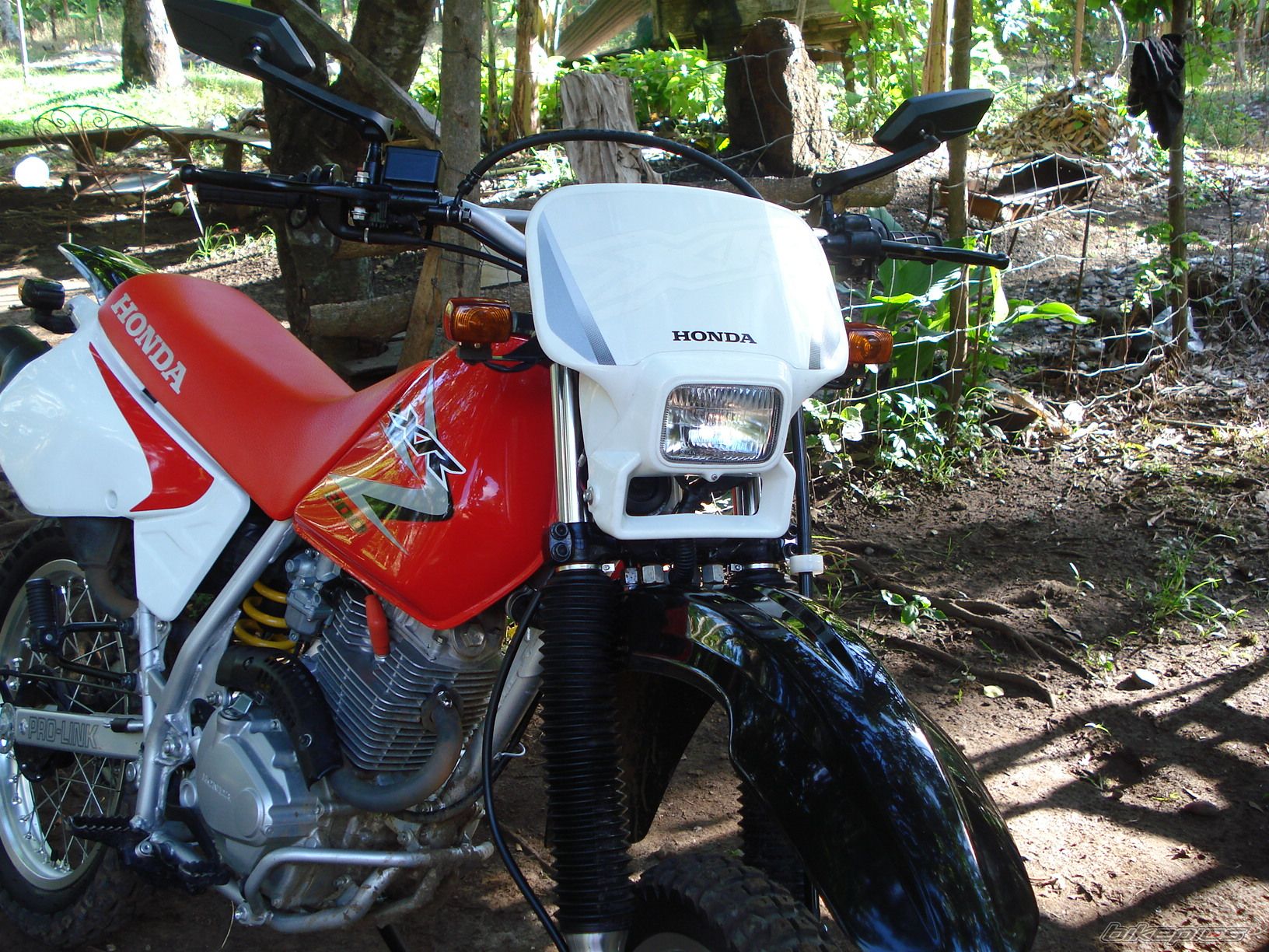 Photo 2015348