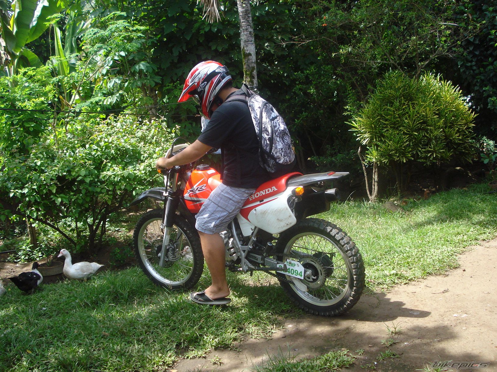 Photo 2015349