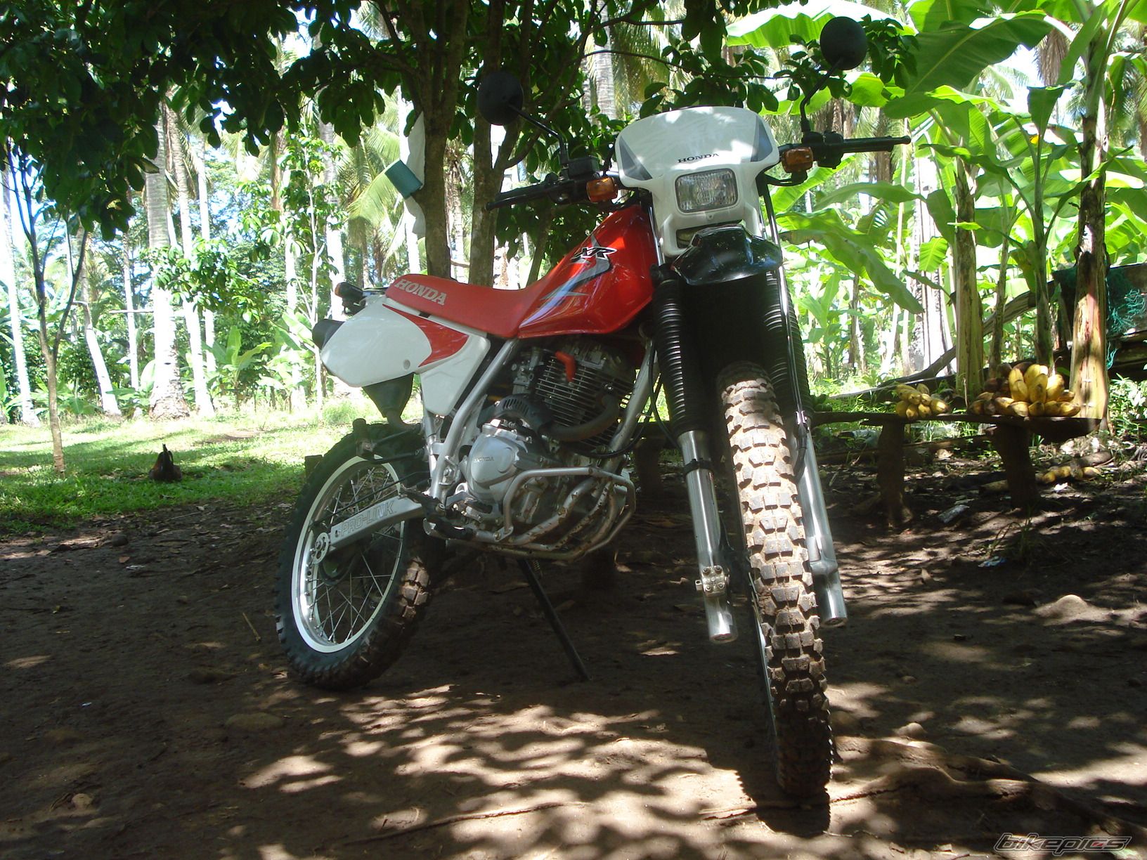 Photo 2015350