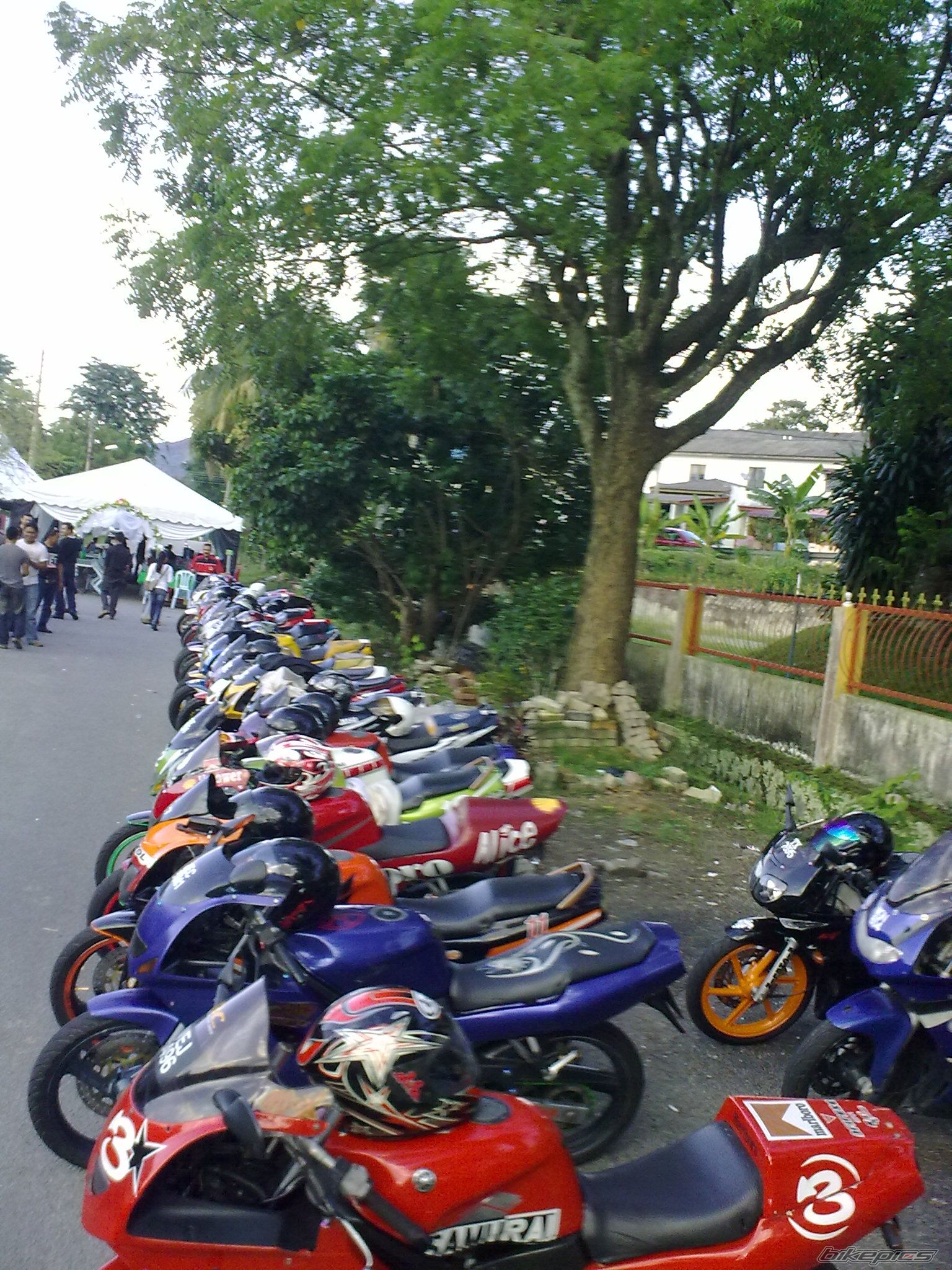 Photo 2015431