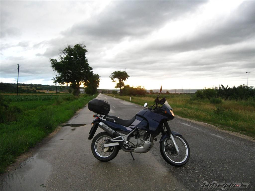 Photo 2015445