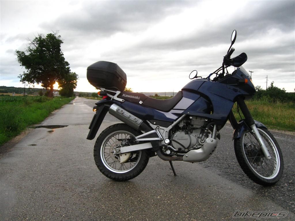 Photo 2015448