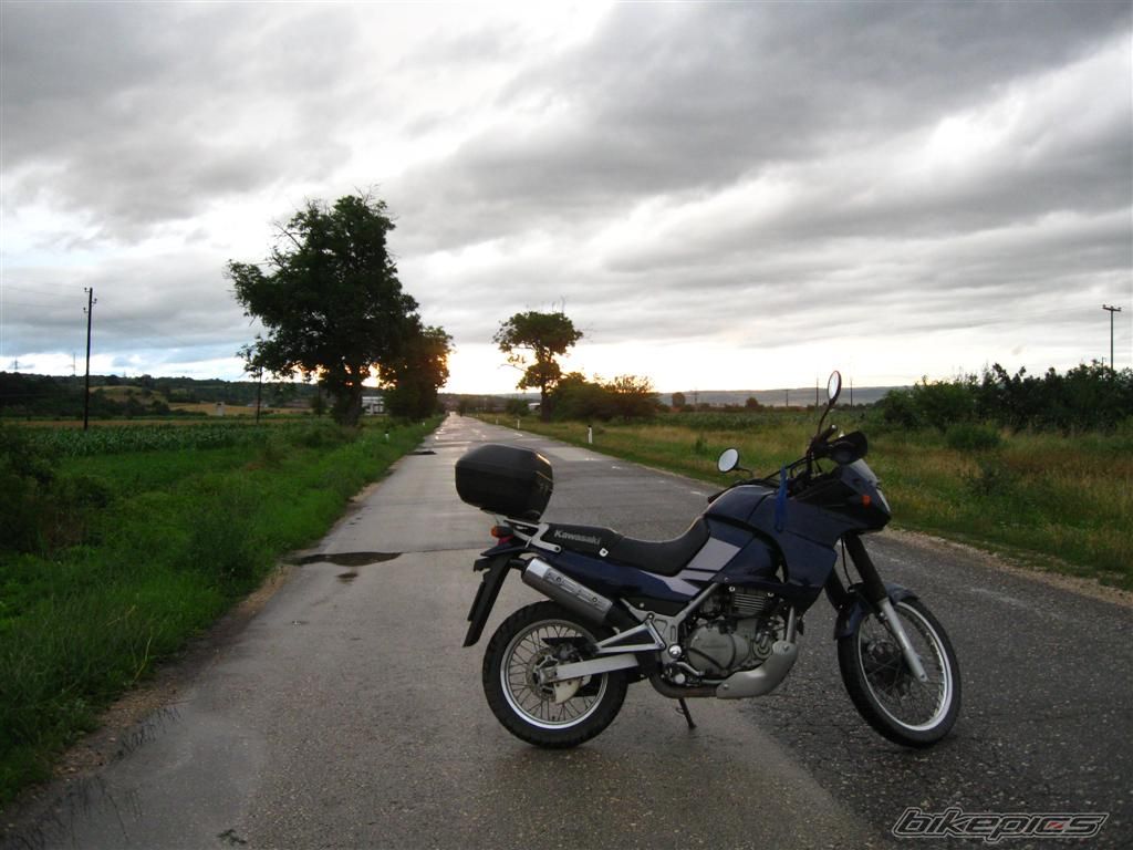 Photo 2015449