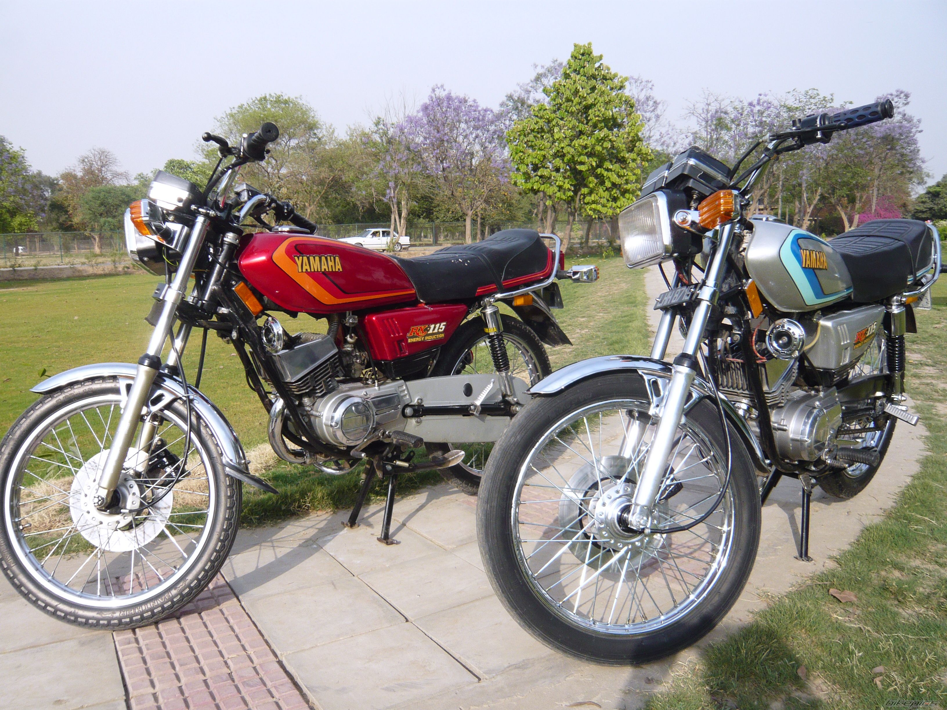 Photo 2015646