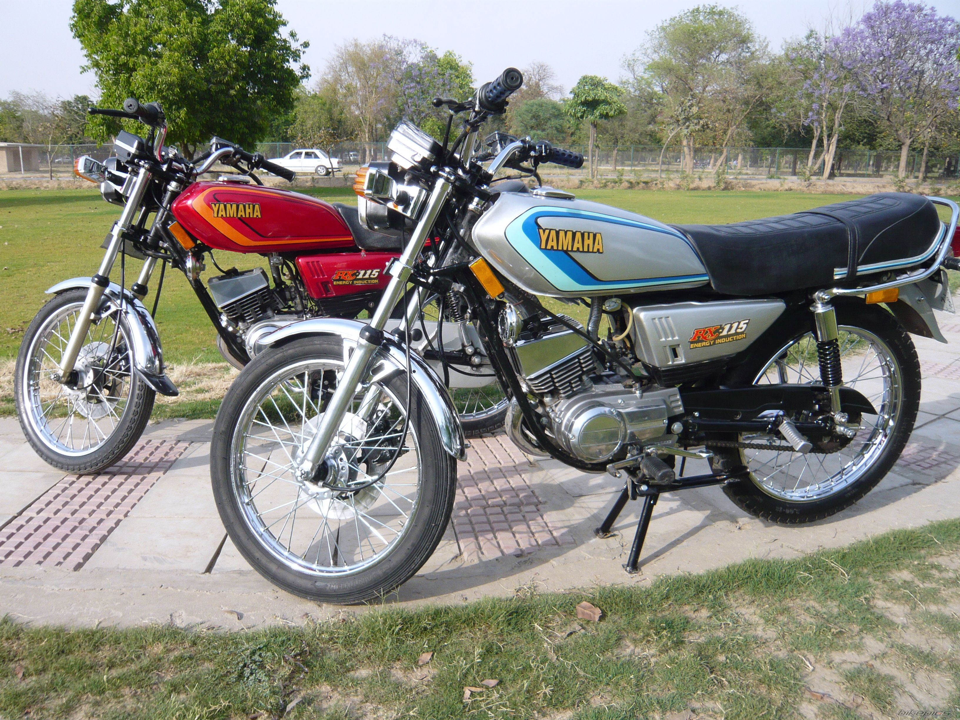 Photo 2015648