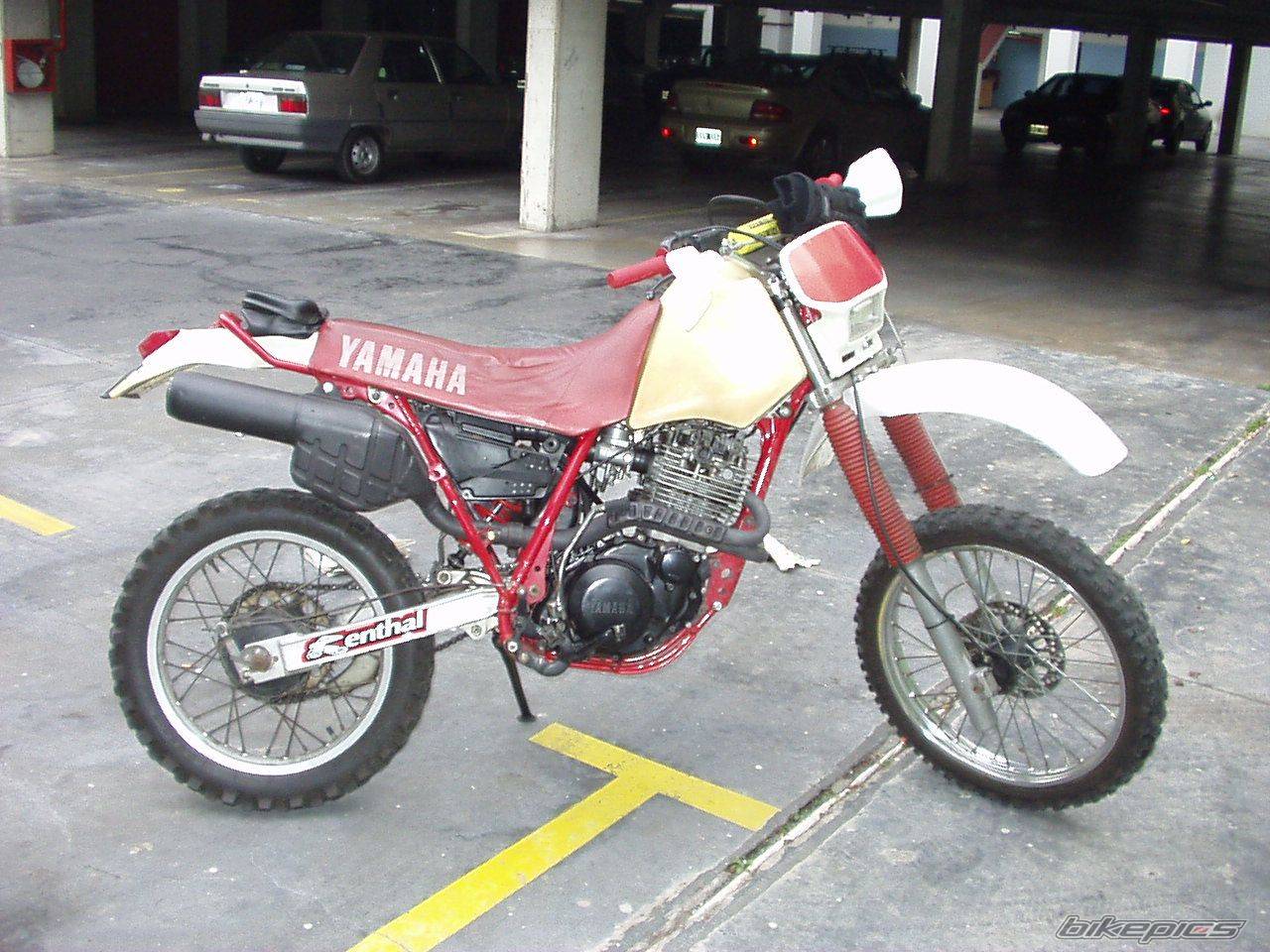 Photo 201565