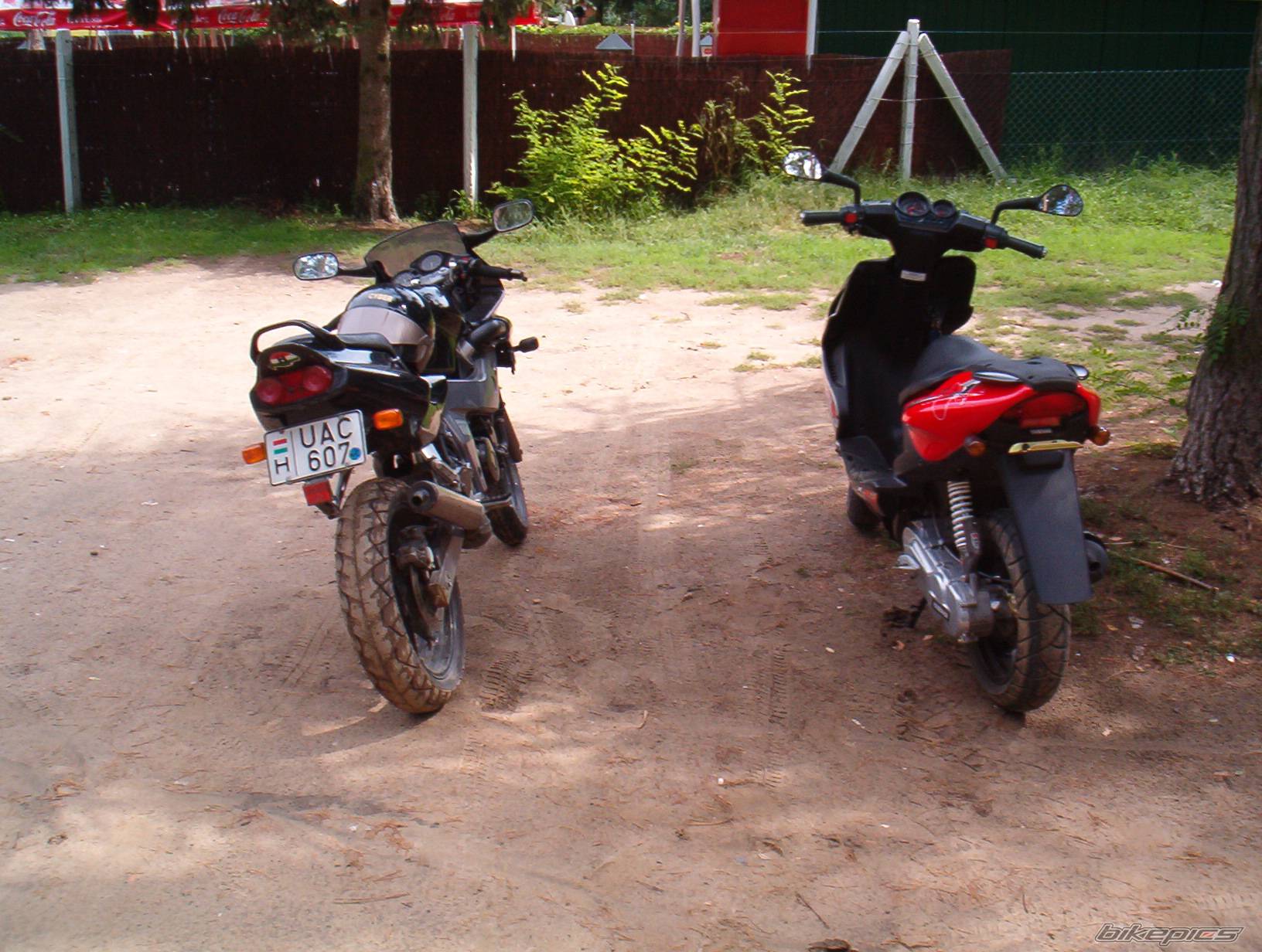 Photo 201566