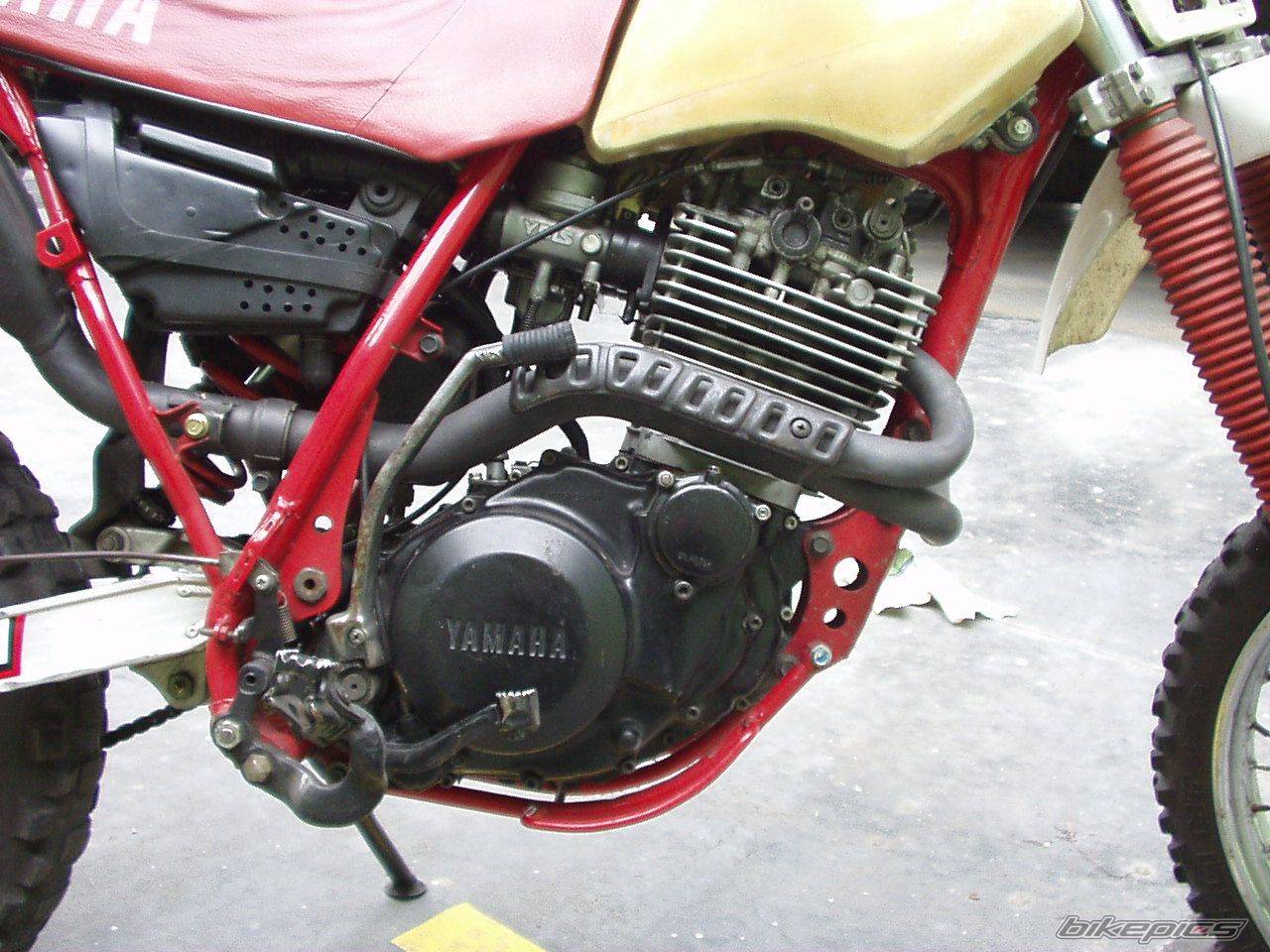 Photo 201567