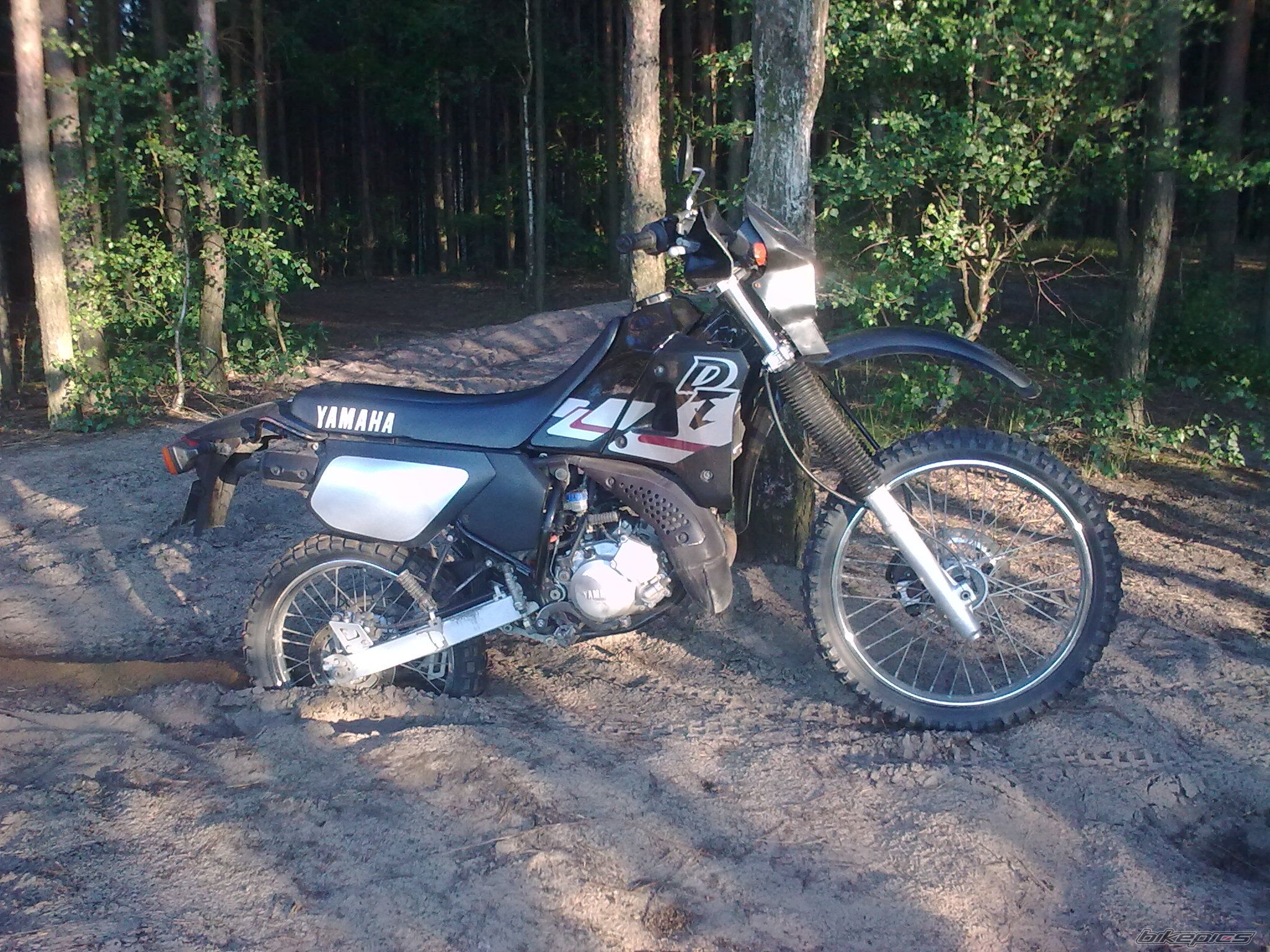 Photo 2015823