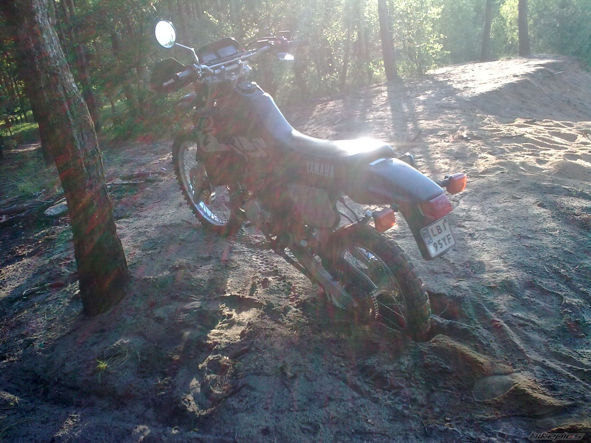 Photo 2015829