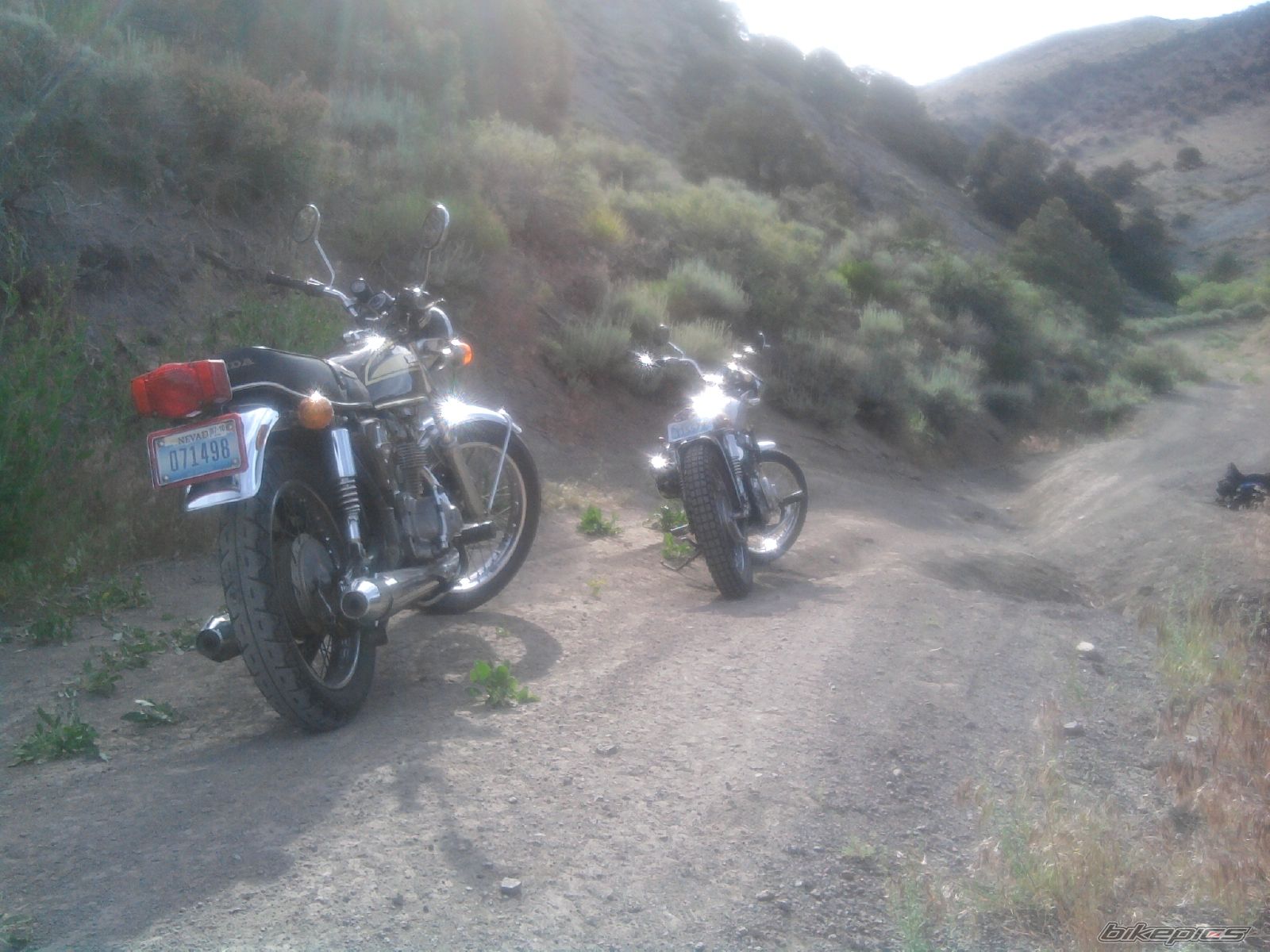 Photo 2015863
