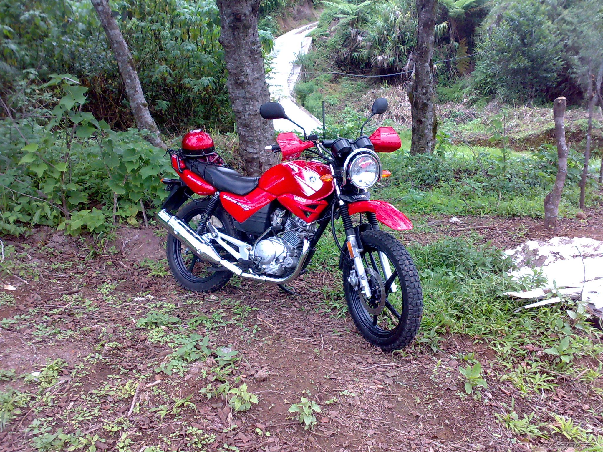 Bike Photo 2015956