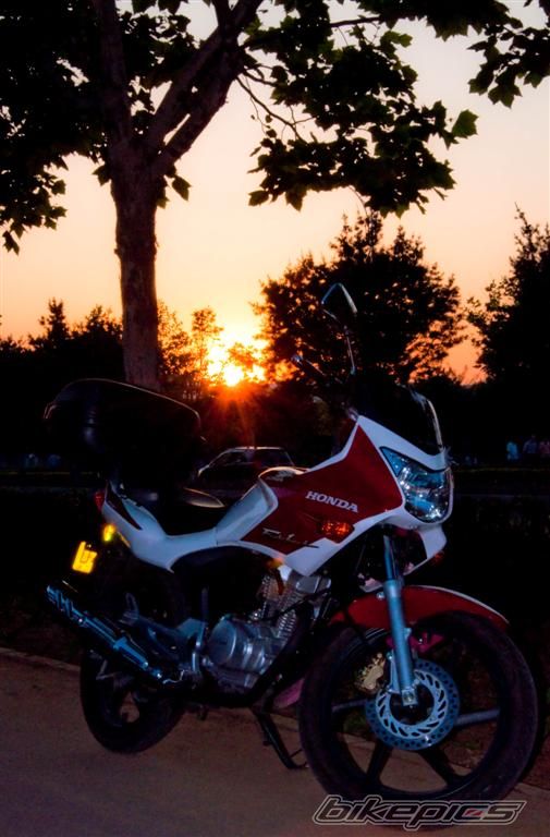 Bike Photo 2016056