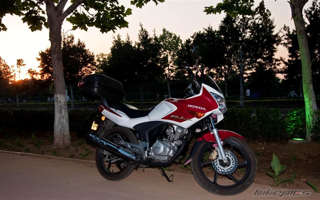 Bike Photo 2016083
