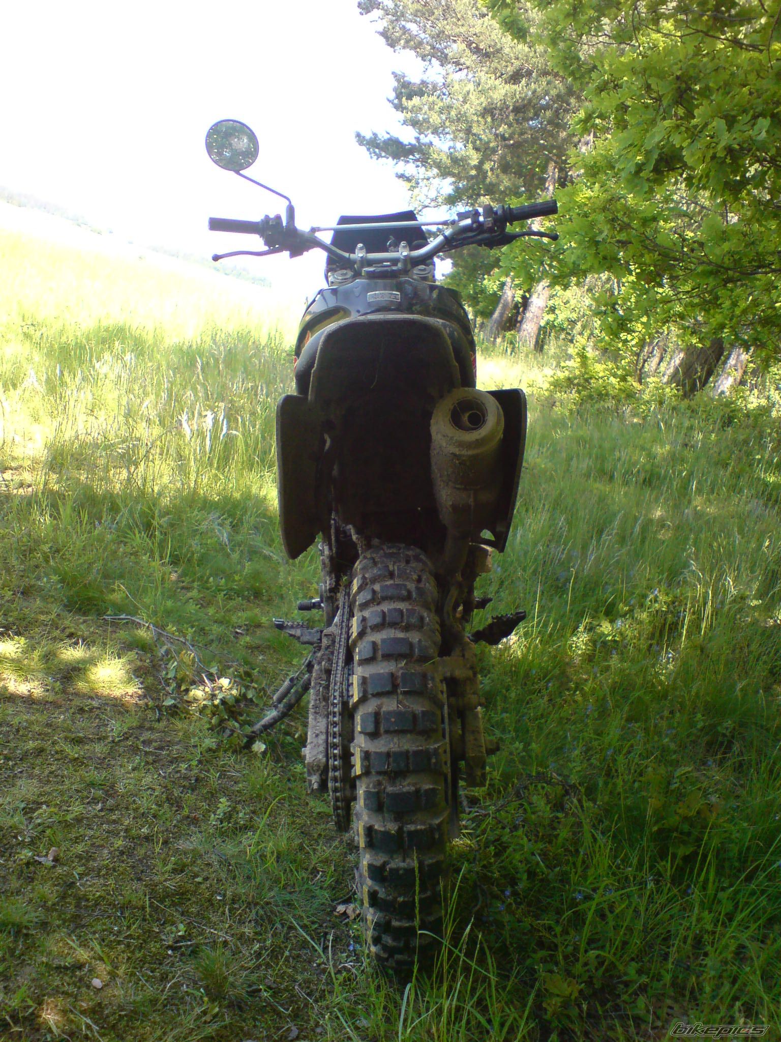Photo 2016086