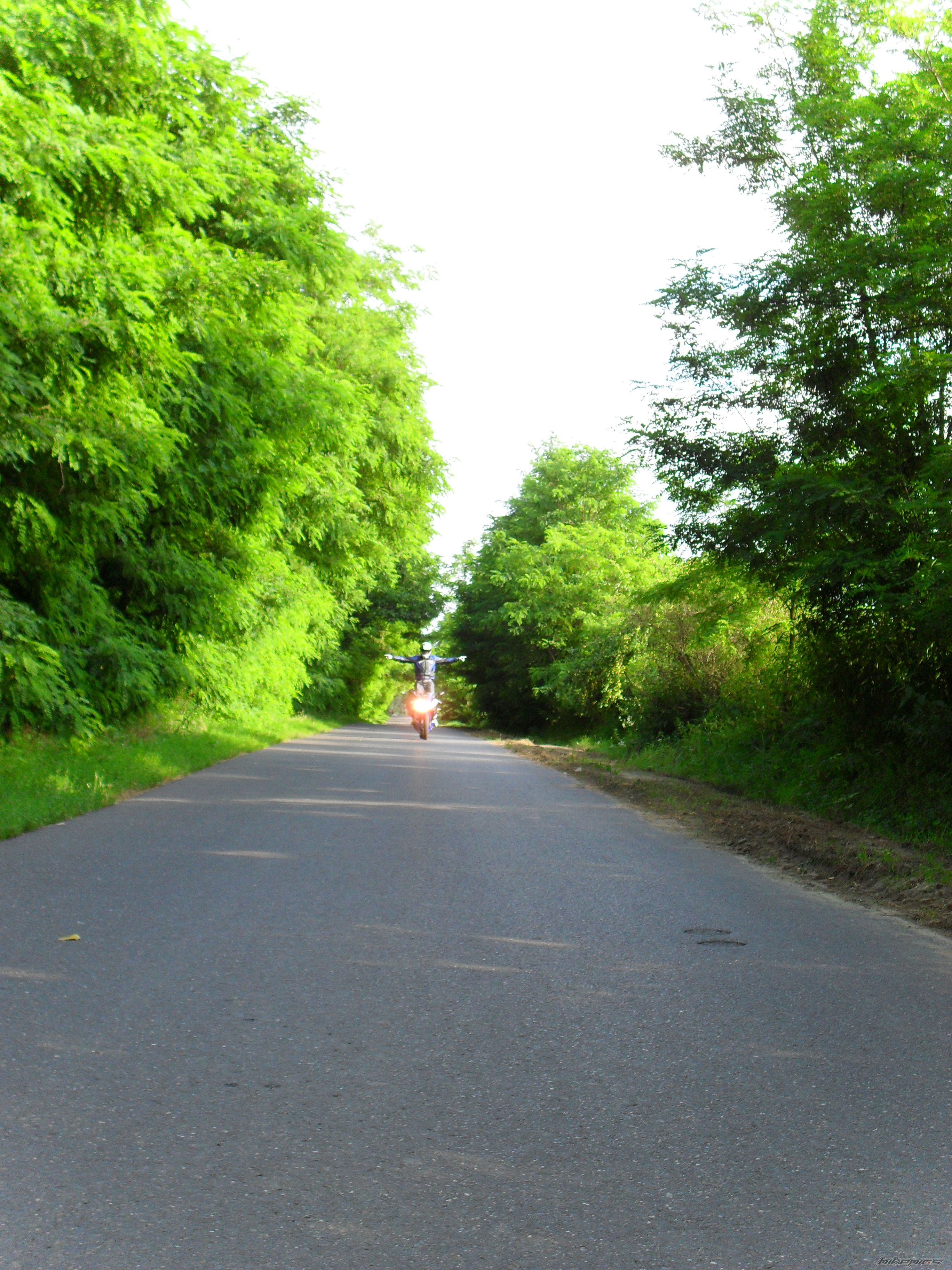 Photo 2016366