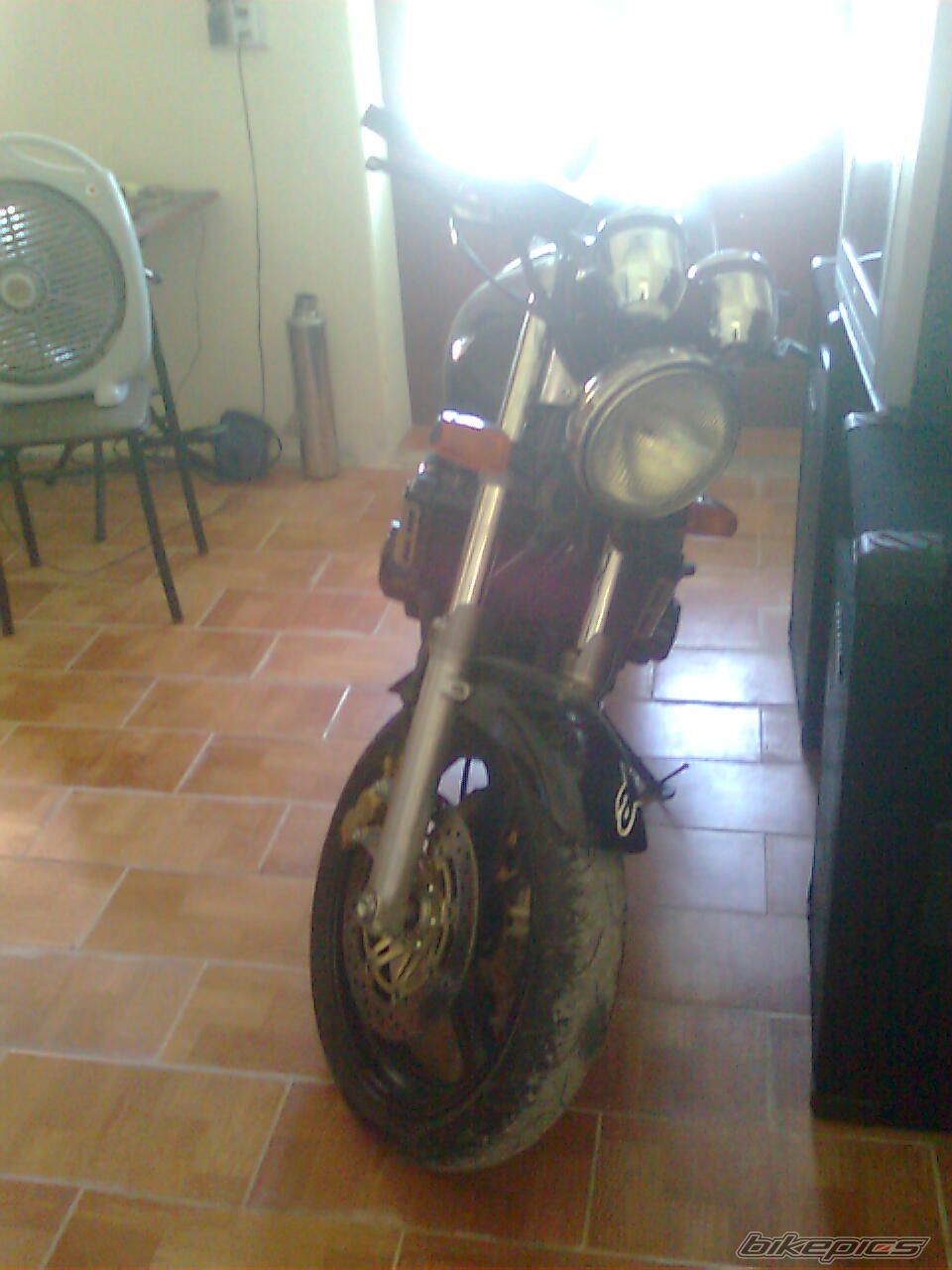 Photo 2016518