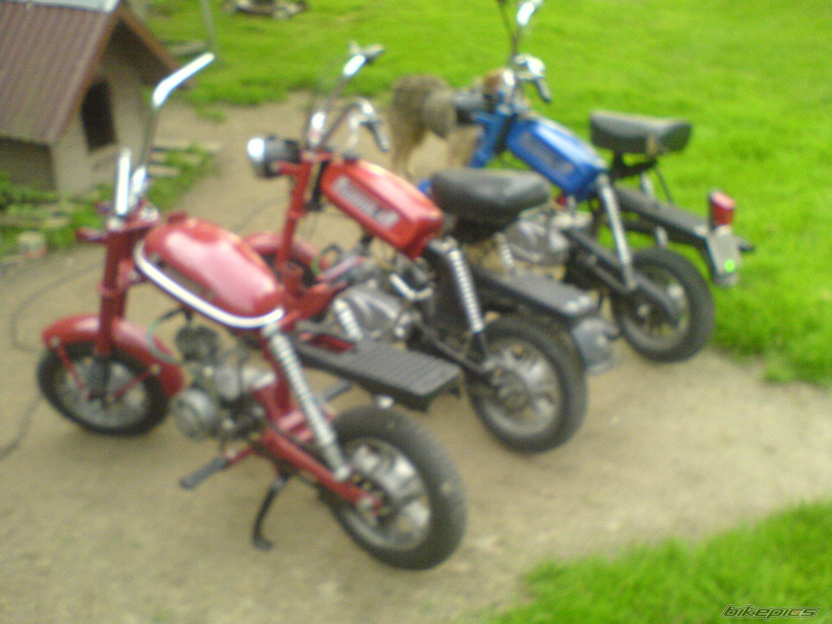 Photo 2016908