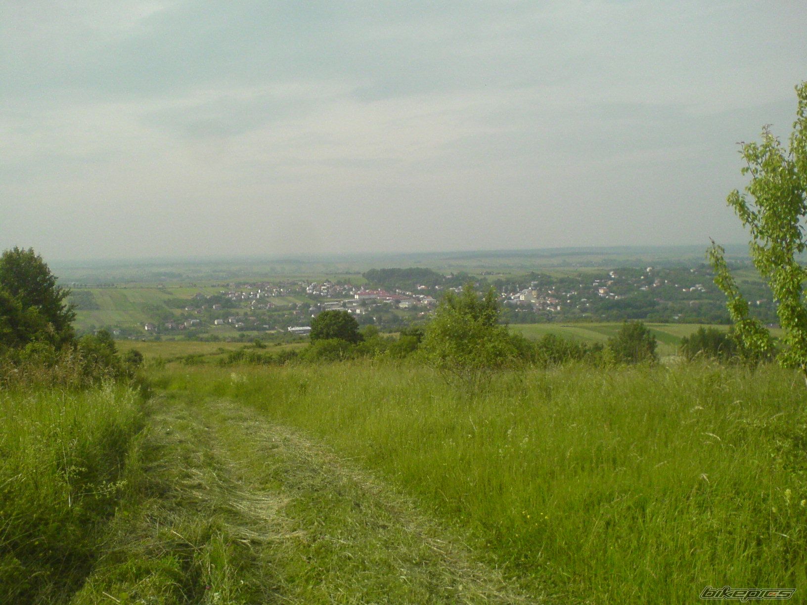 Photo 2016946