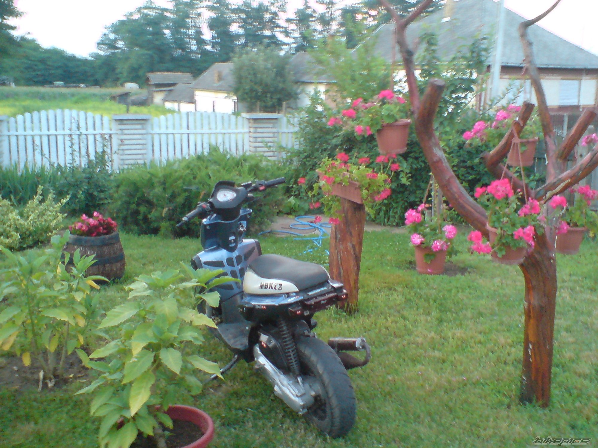 Bike Photo 2017396
