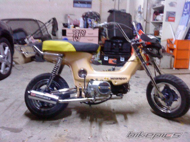 Photo 2017449