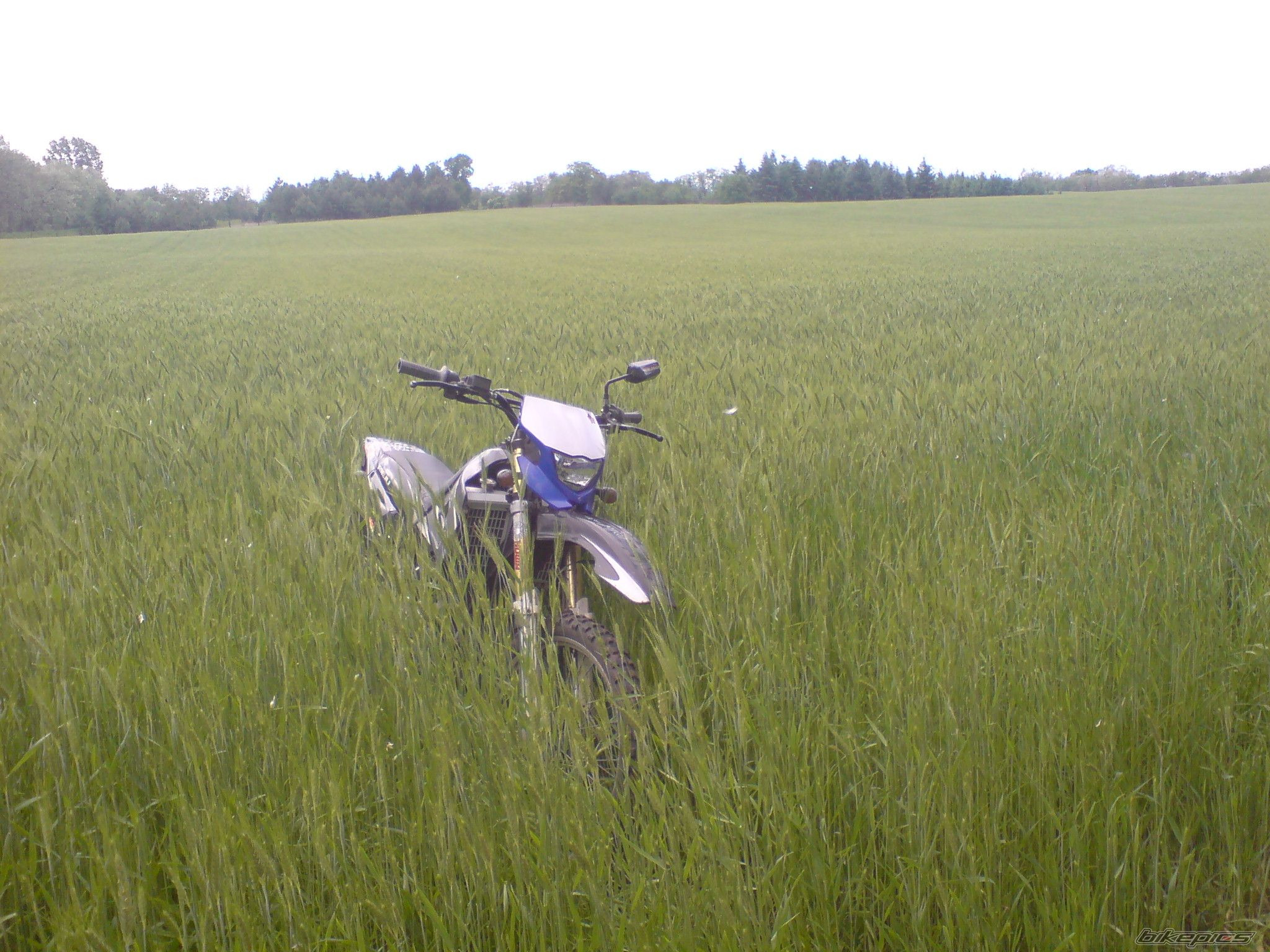 Bike Photo 2017483