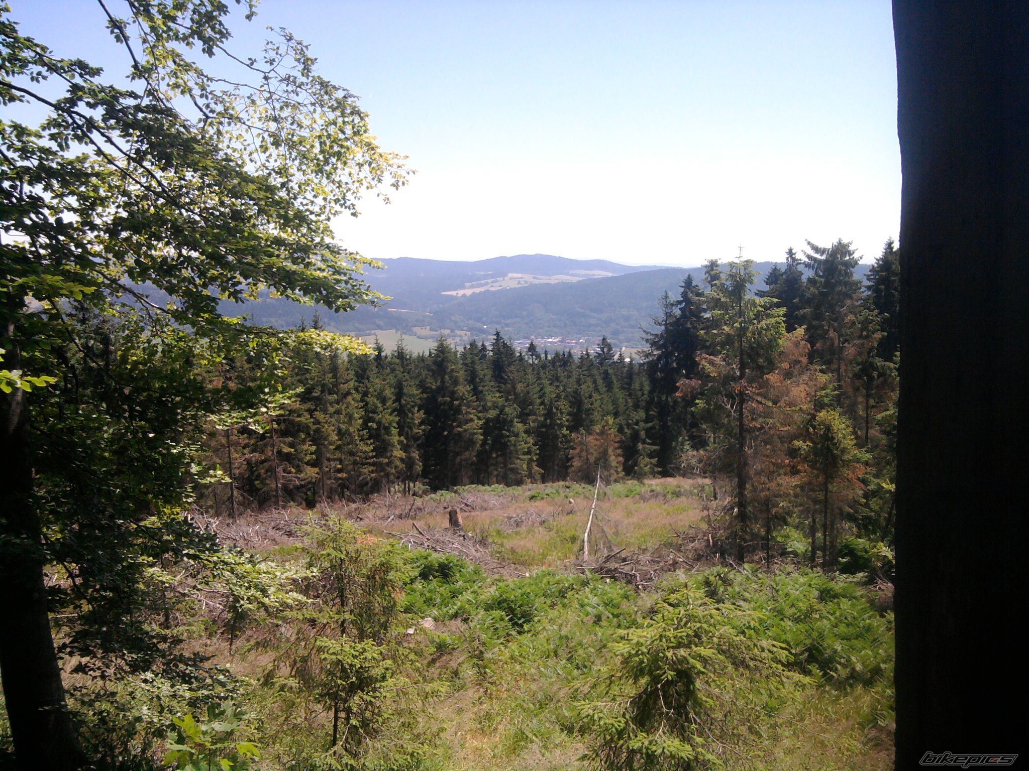 Photo 2017564