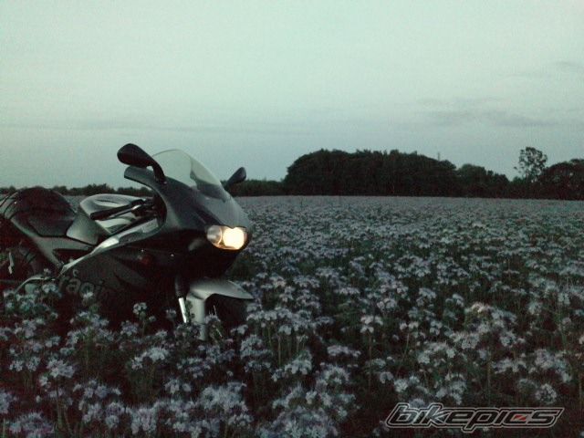 Photo 2017707