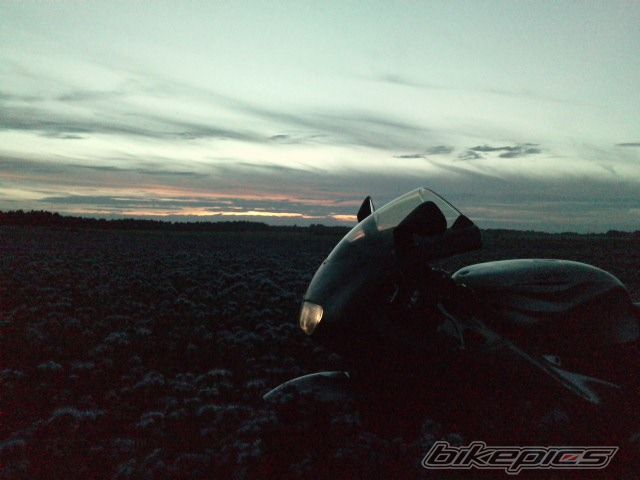 Photo 2017708