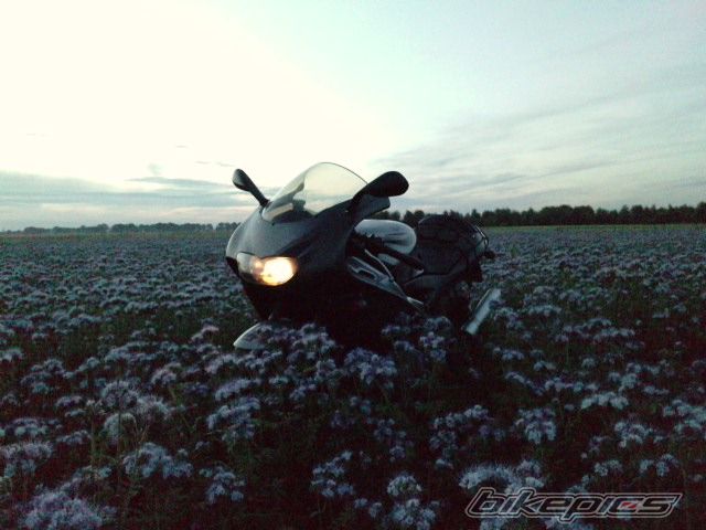 Photo 2017709