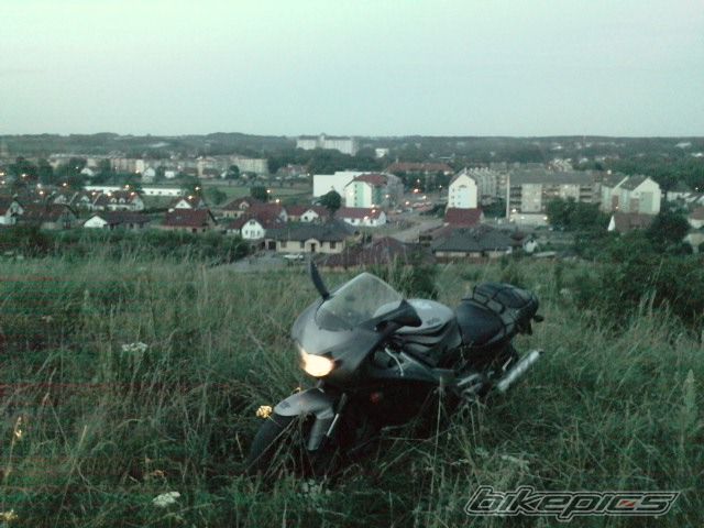 Photo 2017713
