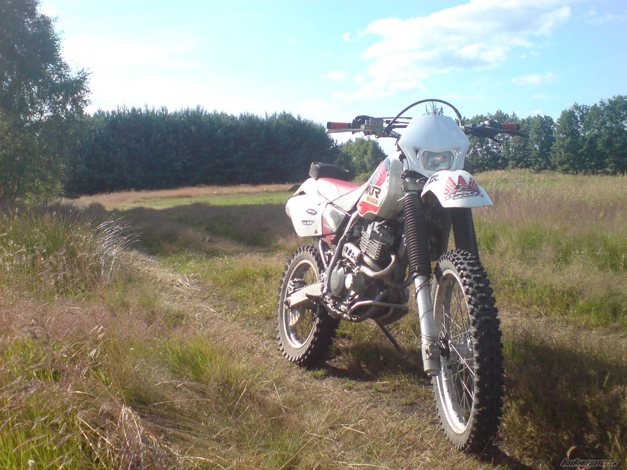 Bike Photo 2018139
