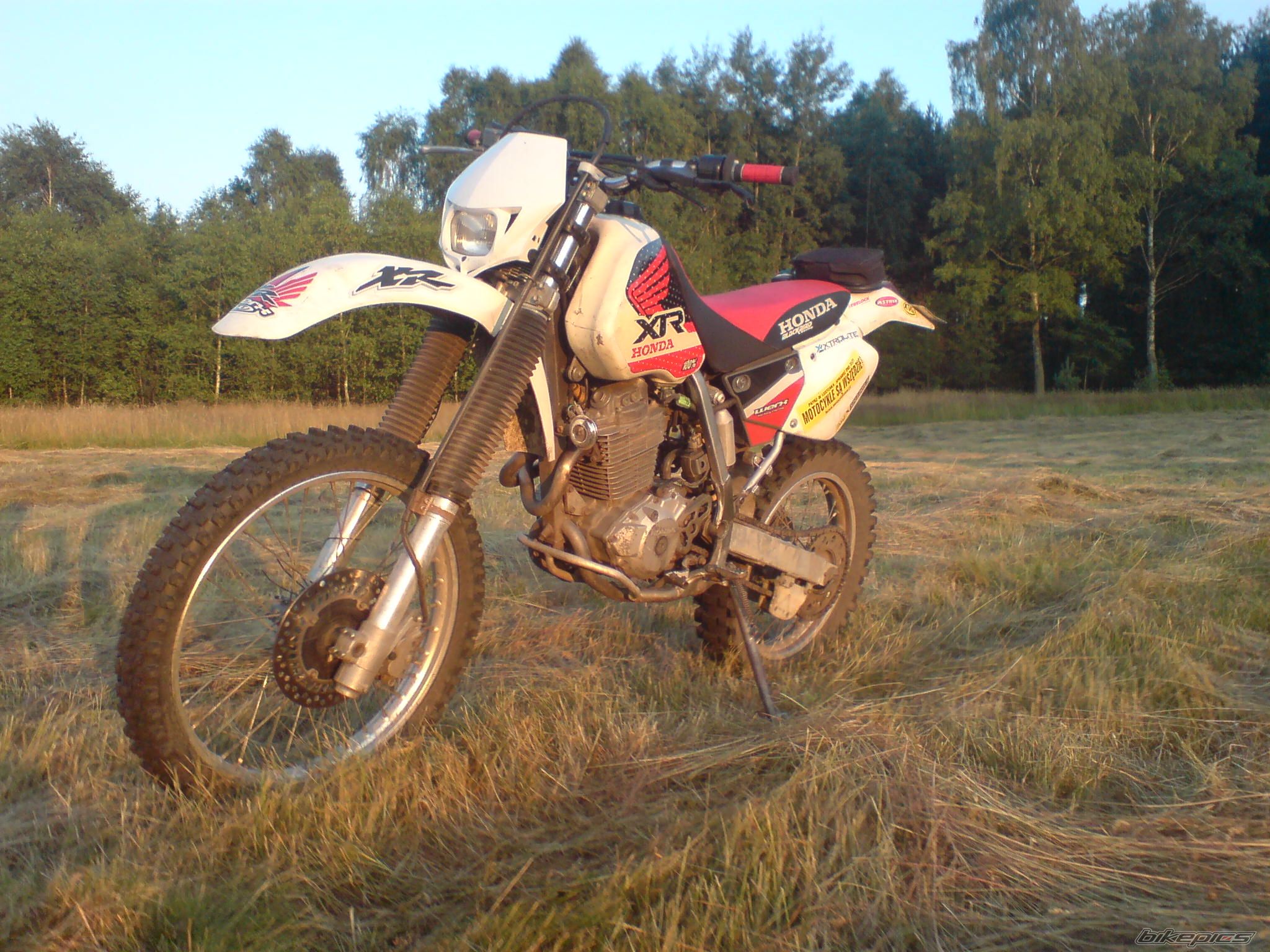 Bike Photo 2018141