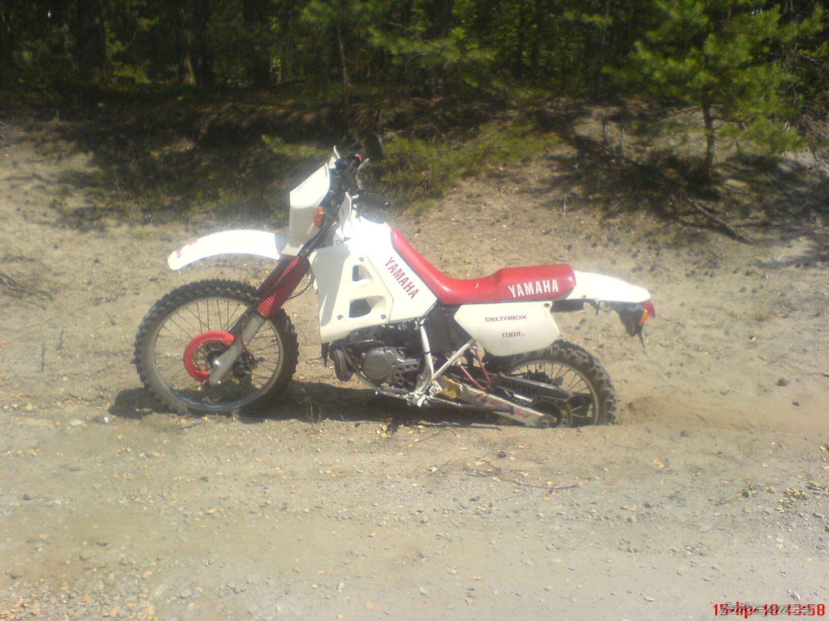 Photo 2019385
