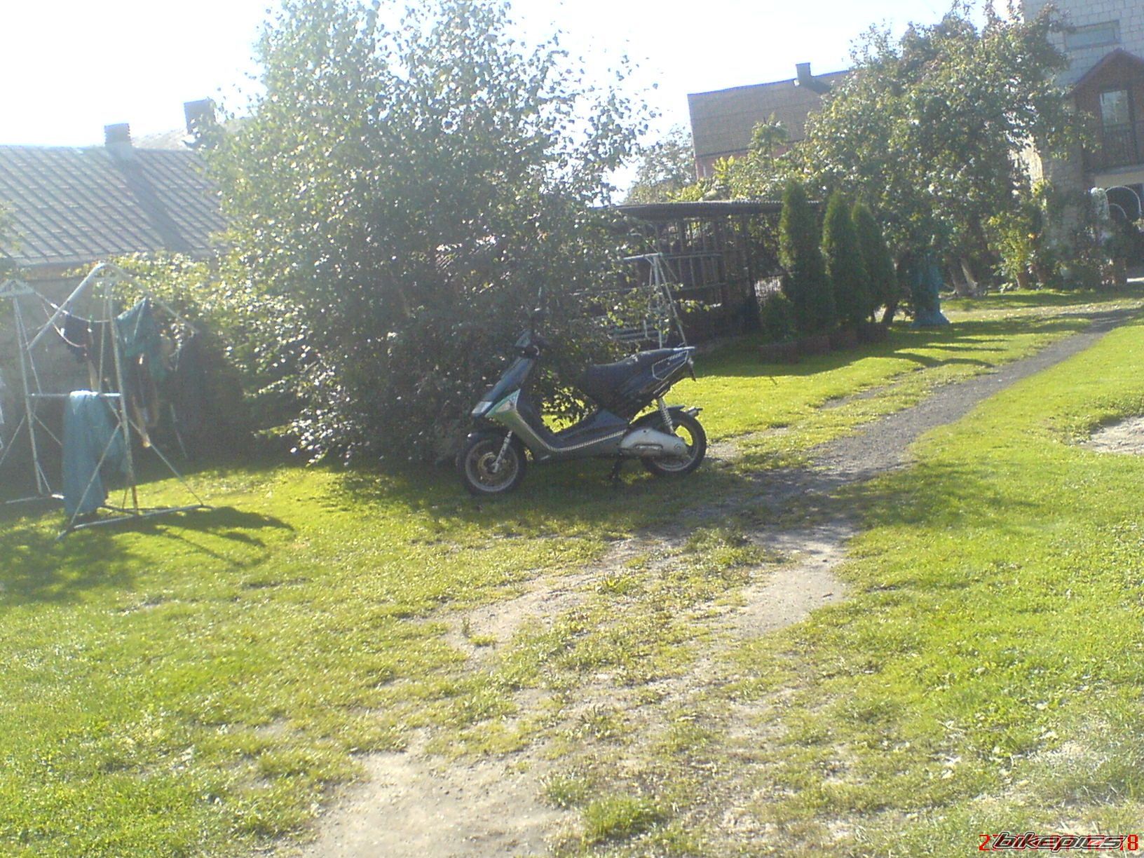 Photo 2019409