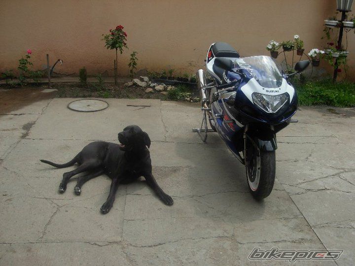 Bike Photo 2019655