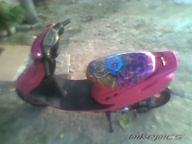 Photo 2019699