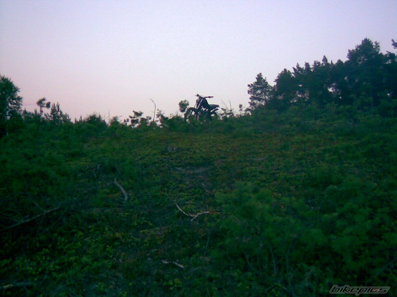 Bike Photo 2020089