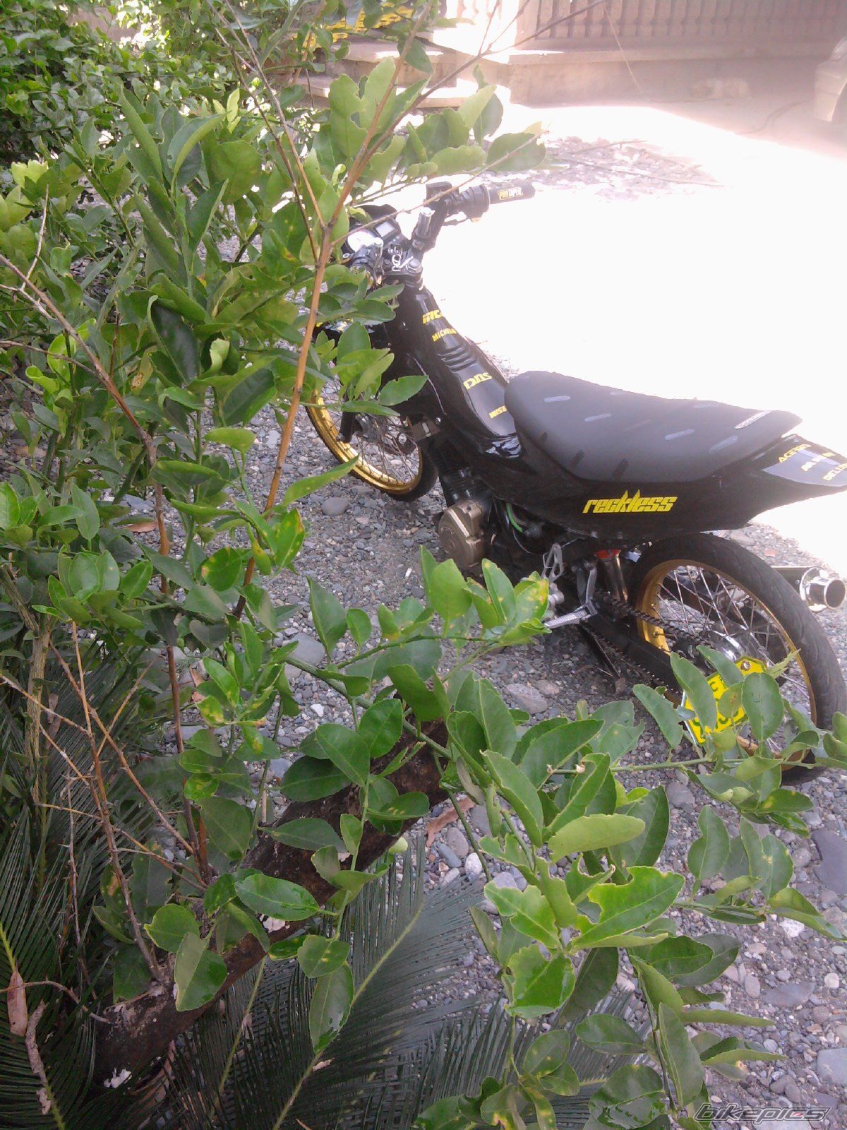 Bike Photo 2020206