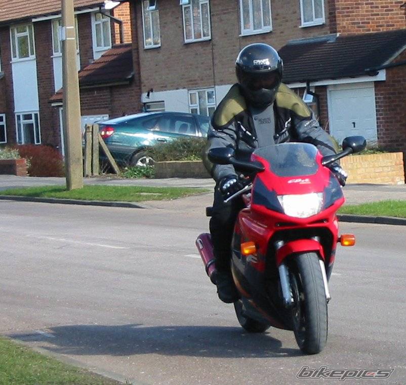 Photo 20203